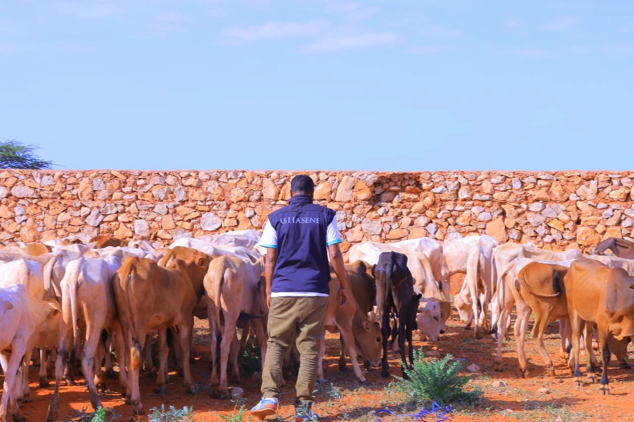 Qurban images Image 29